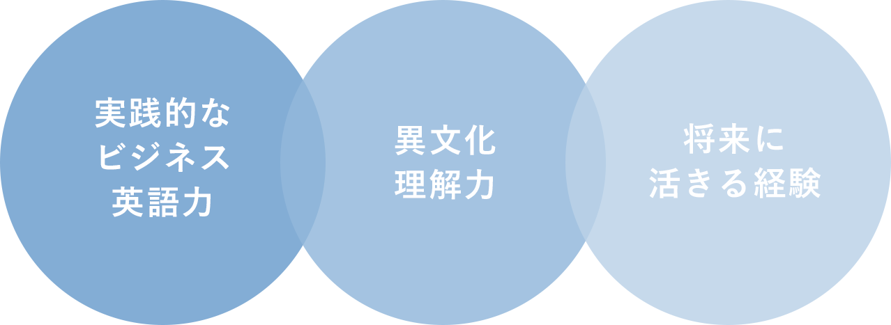 1.実践的なビジネス英語力 2.異文化理解力 3.将来に活きる経験